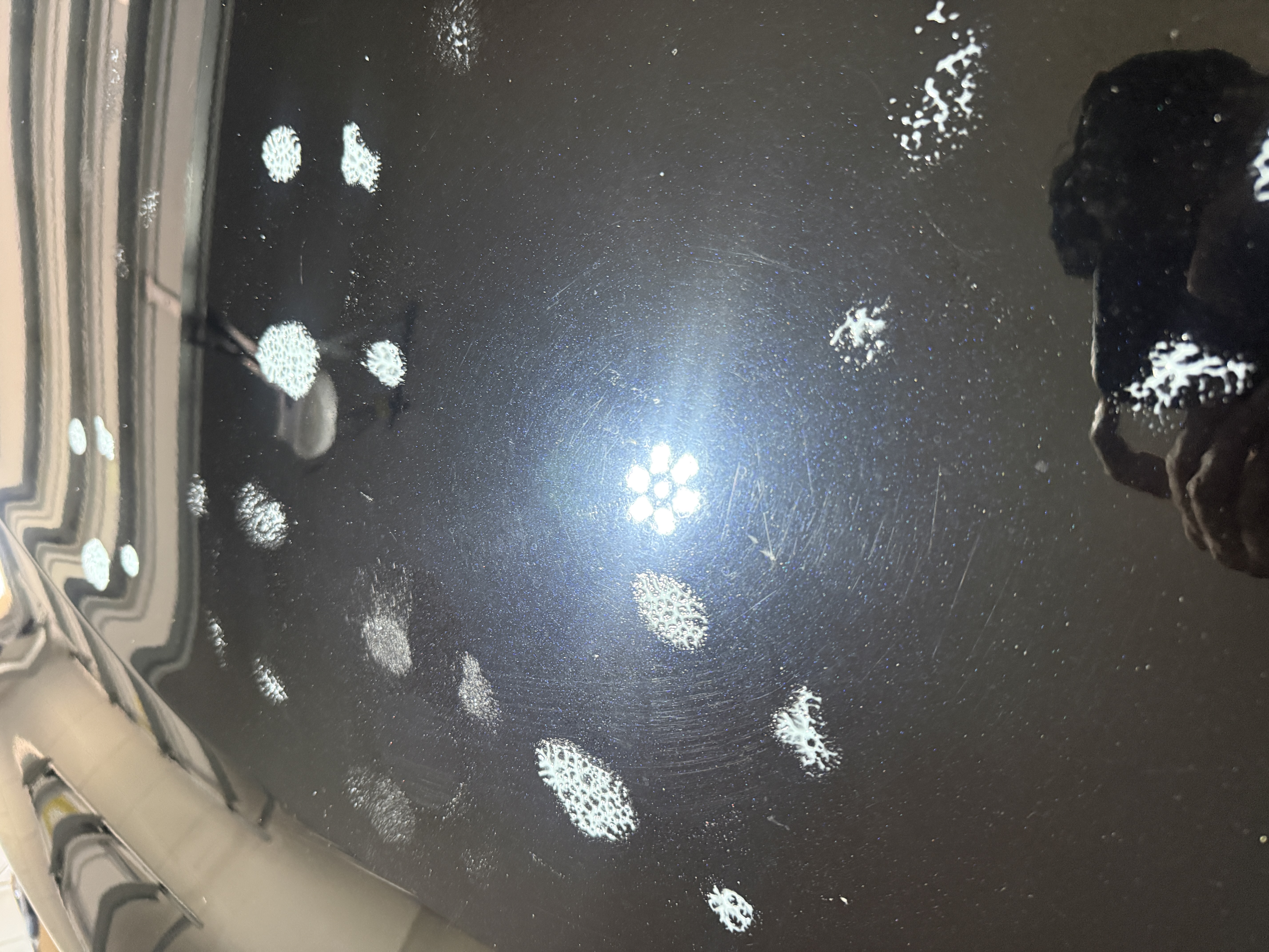 Before paint correction in Orlando, FL